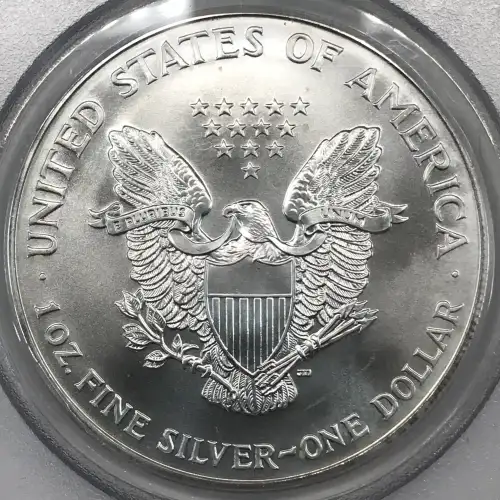 Silver Eagles (2)