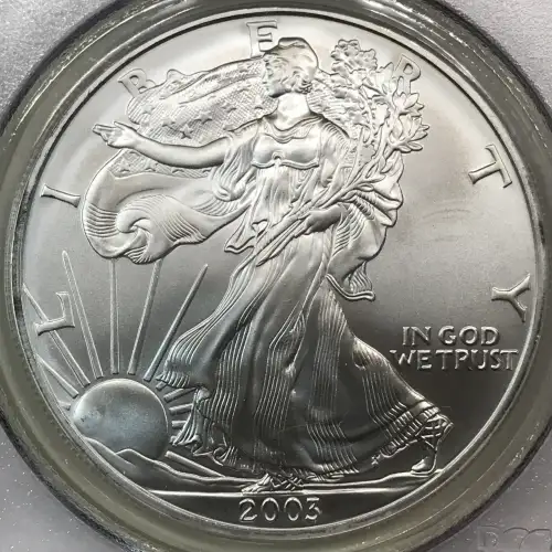Silver Eagles (3)