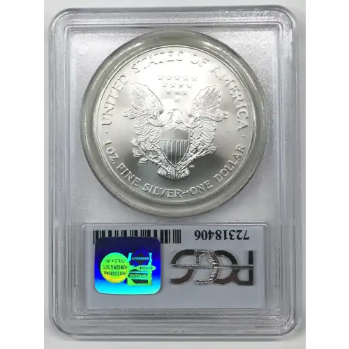 Silver Eagles