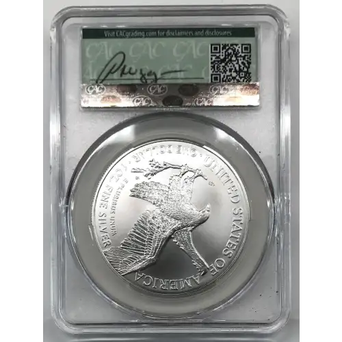 Silver Eagles