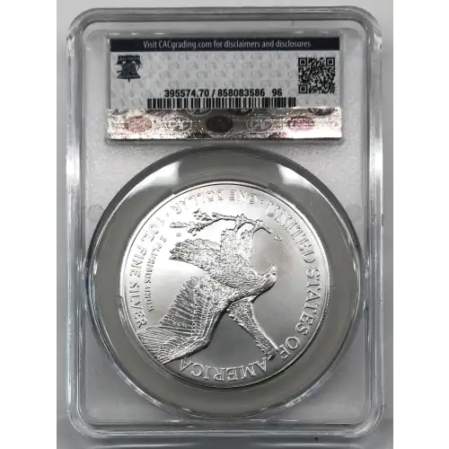Silver Eagles