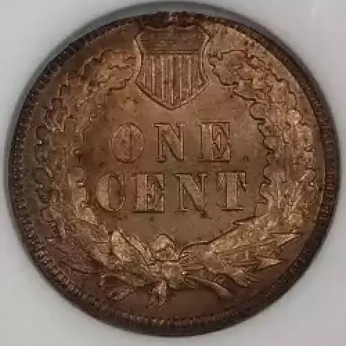 Small Cents-Indian Head 1859-1909 -Copper