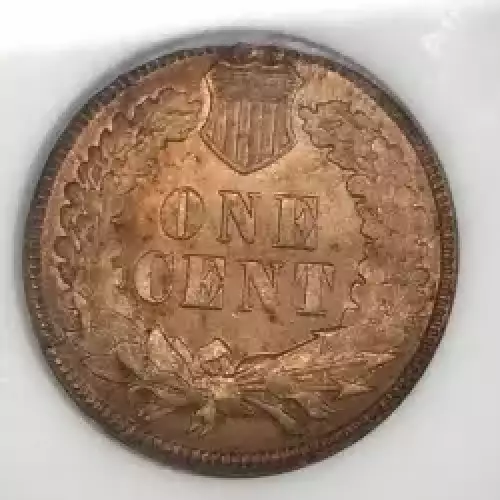 Small Cents-Indian Head 1859-1909 -Copper