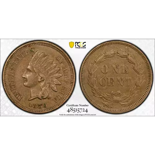 Small Cents-Indian Head 1859-1909 -Copper