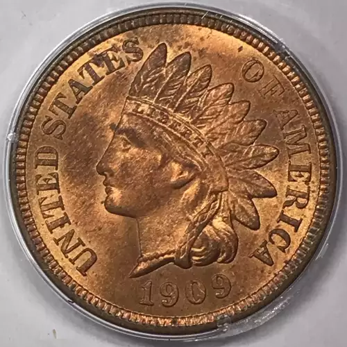 Small Cents-Indian Head 1859-1909 -Copper