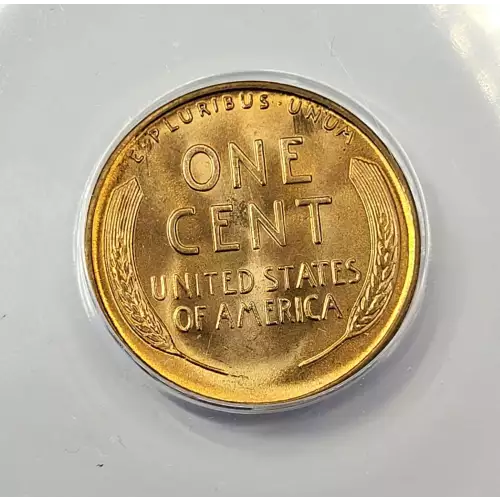 Small Cents-Indian Head 1859-1909 -Copper (4)