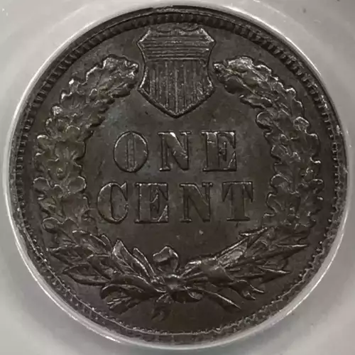 Small Cents-Indian Head 1859-1909 -Copper (4)