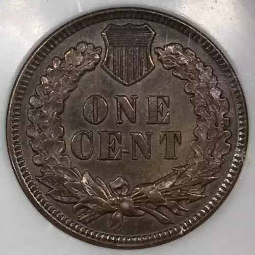 Small Cents-Indian Head 1859-1909 -Copper (3)
