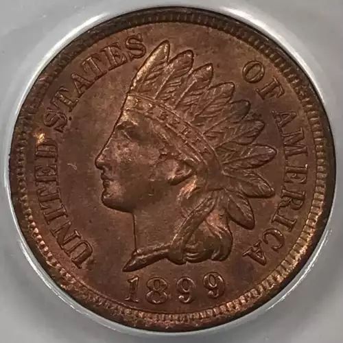 Small Cents-Indian Head 1859-1909 -Copper