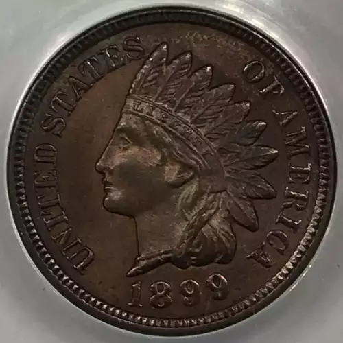 Small Cents-Indian Head 1859-1909 -Copper (3)
