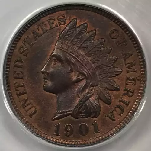 Small Cents-Indian Head 1859-1909 -Copper (2)