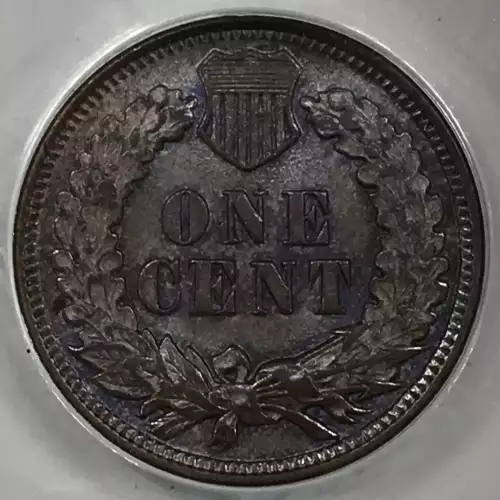 Small Cents-Indian Head 1859-1909 -Copper (4)