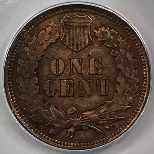 Small Cents-Indian Head 1859-1909 -Copper (2)