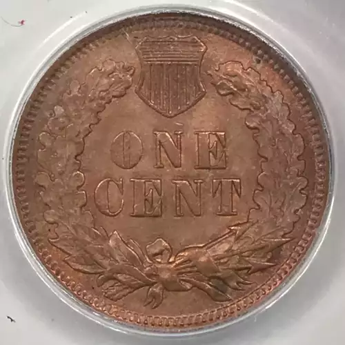 Small Cents-Indian Head 1859-1909 -Copper (2)