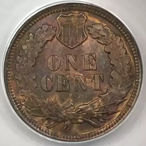 Small Cents-Indian Head 1859-1909 -Copper