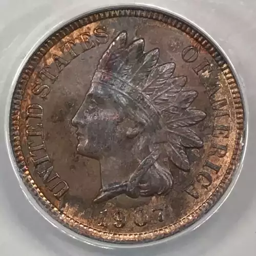 Small Cents-Indian Head 1859-1909 -Copper (2)