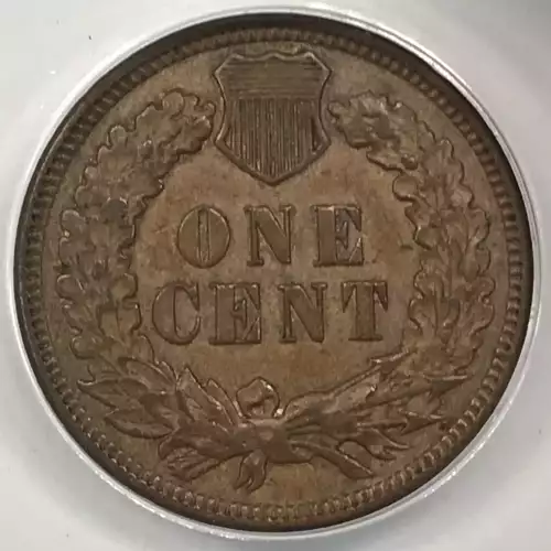 Small Cents-Indian Head 1859-1909 -Copper (2)