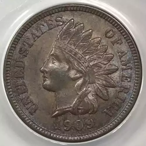 Small Cents-Indian Head 1859-1909 -Copper (3)