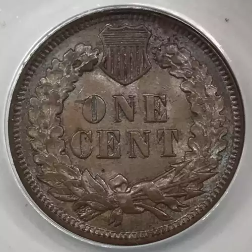 Small Cents-Indian Head 1859-1909 -Copper (4)