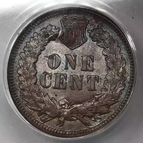Small Cents-Indian Head 1859-1909 -Copper (5)