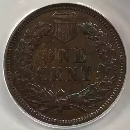 Small Cents-Indian Head 1859-1909 -Copper (5)