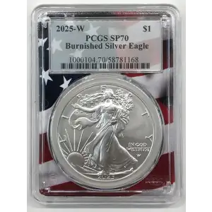 Silver Eagles (2)