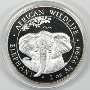 2 oz Silver (COIN)