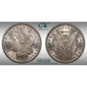 Morgan Silver Dollar