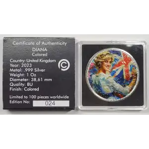 1 oz Silver (COIN)