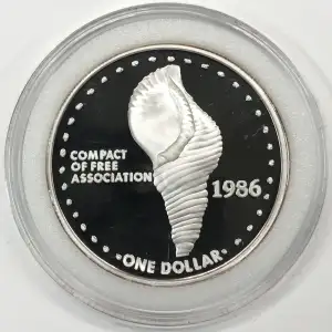 1 oz Silver (COIN)