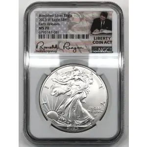 2023 W Early Releases Burnished Silver Eagle