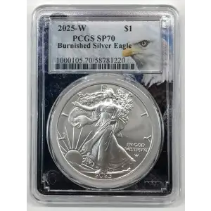 2025-W $1 Burnished Silver Eagle Eagle Mountain Picture Frame (2)