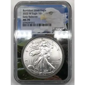 2023 W Early Releases Burnished Silver Eagle (2)