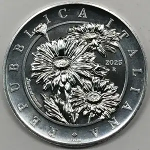 1 oz Silver (COIN)