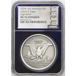 2 oz Silver (COIN)