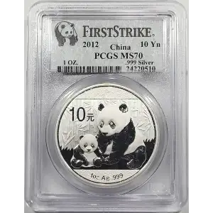 1 oz Silver (COIN)