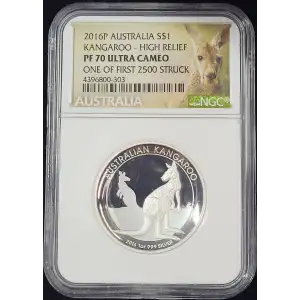 1 oz Silver (COIN)