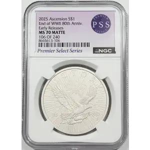 1 oz Silver (COIN)