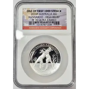 1 oz Silver (COIN)