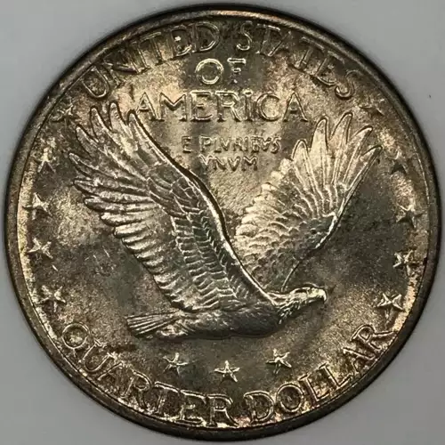 Standing Liberty Quarter Dollar (4)