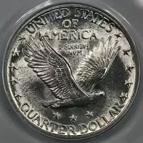Standing Liberty Quarter Dollar (3)