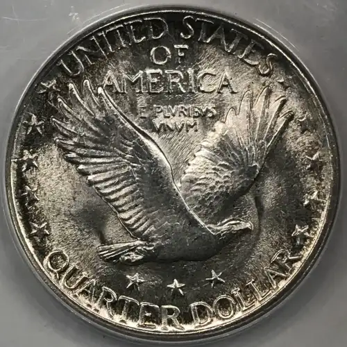 Standing Liberty Quarter Dollar (3)
